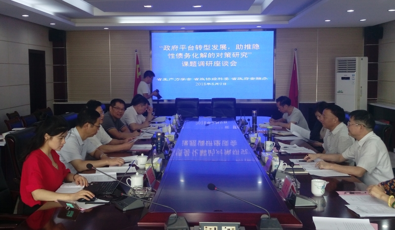 北冰院長參與“政府平臺轉型發展，助推隱性債務化解的對策研究”課題調研座談會