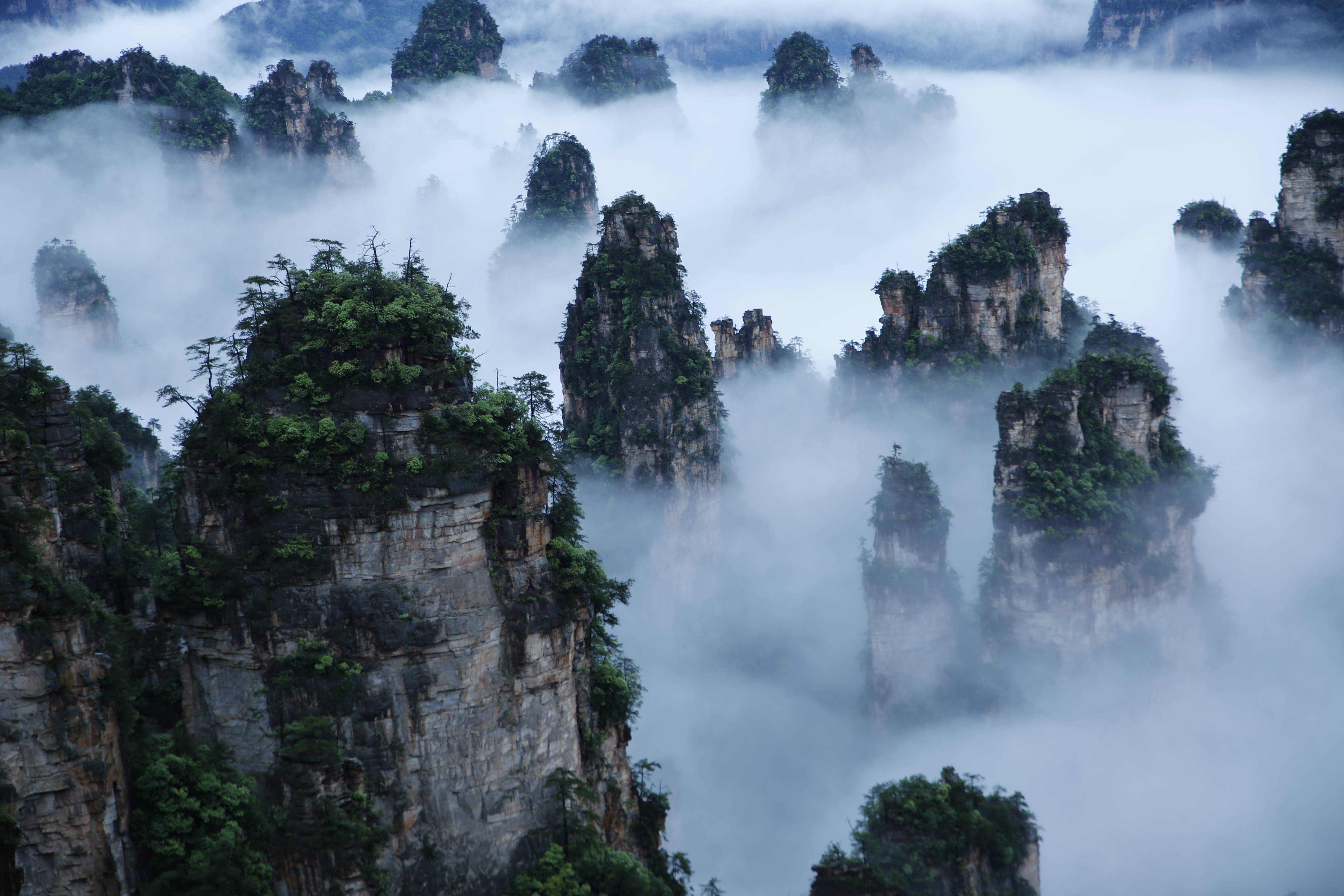 武陵源景區天子山云海,圖源:湖南日報.jpeg 武陵源景區天子山云海,圖源:湖南日報.jpeg