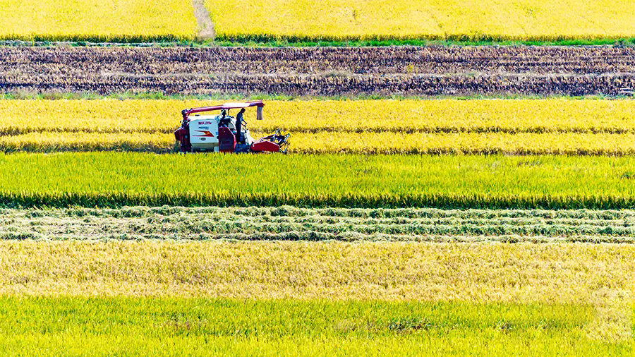 640.webp.png 640.webp.png